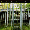 bamboo Spot Garden Mokenji Kyoto