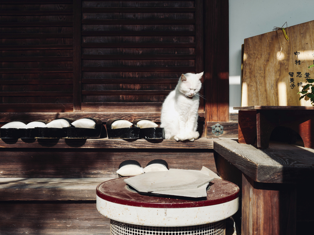 陽だまりのねこ