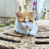 on the street 2023