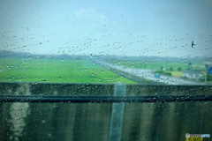 田園風景：九州新幹線つばめ・雨の車窓