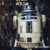 今日フォト：R2-D2は電気羊の夢を見るか？