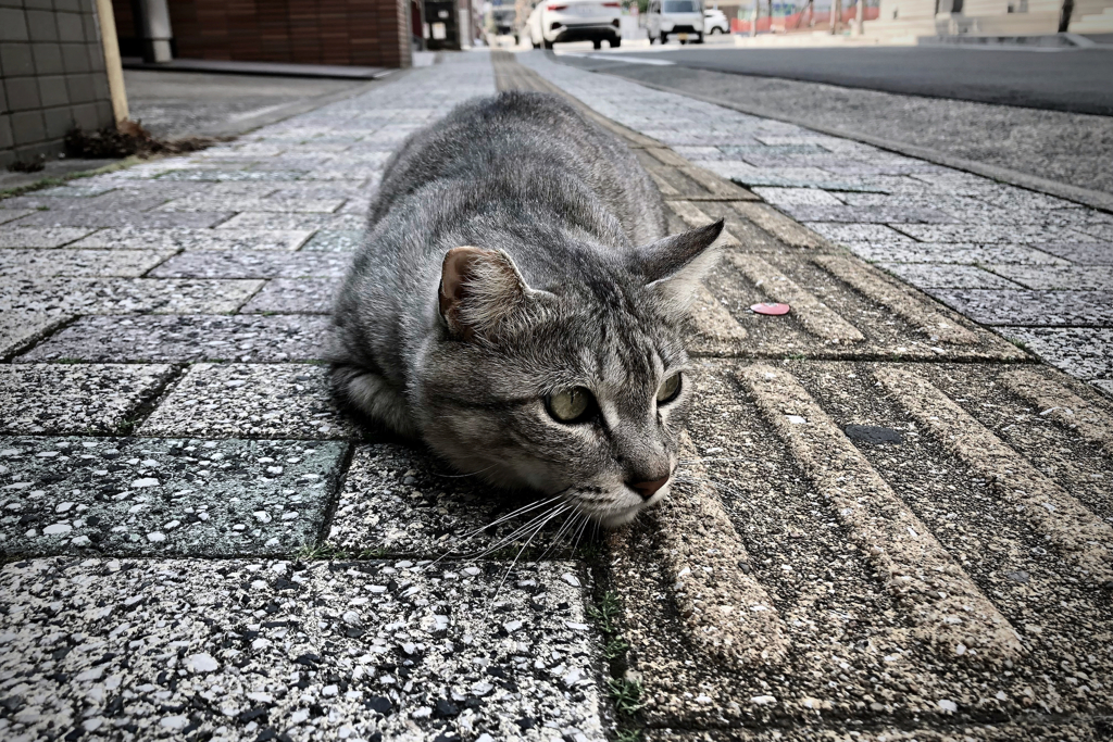 On Street, NAGASAKI