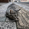 On Street, NAGASAKI