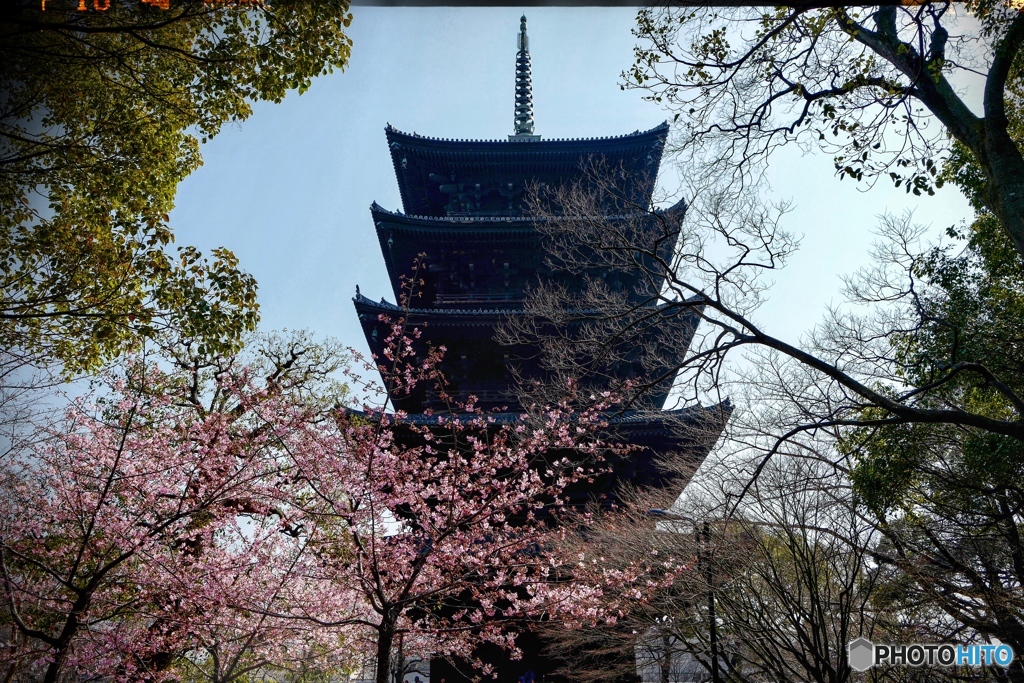 Early spring To-ji, Symbol of Kyoto