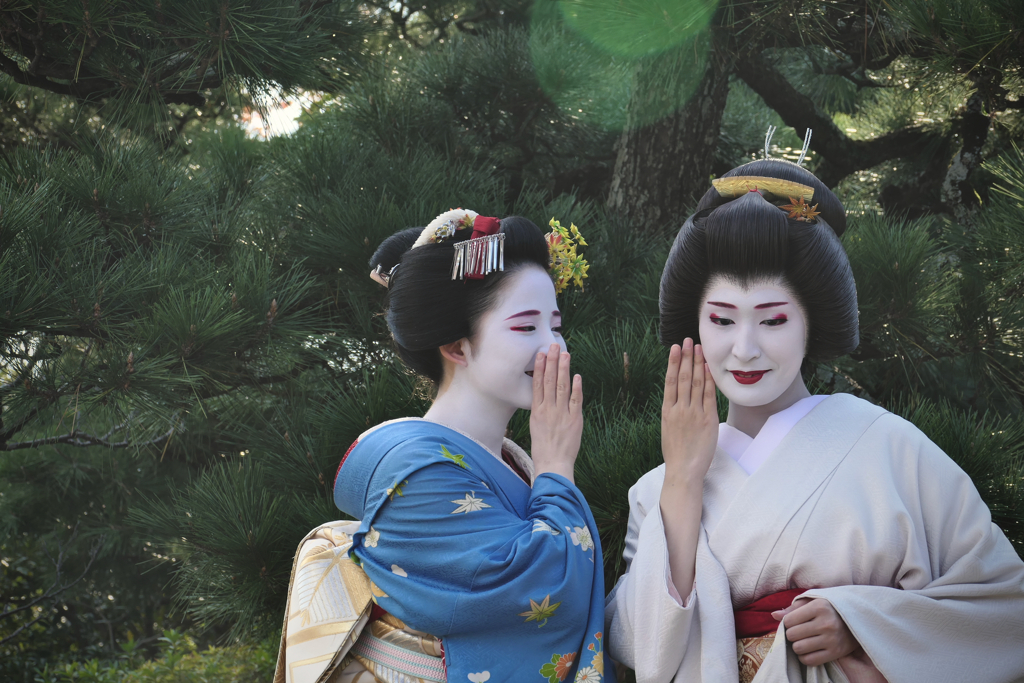 talk in a whispers, Maiko & Geiko