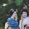 talk in a whispers, Maiko & Geiko