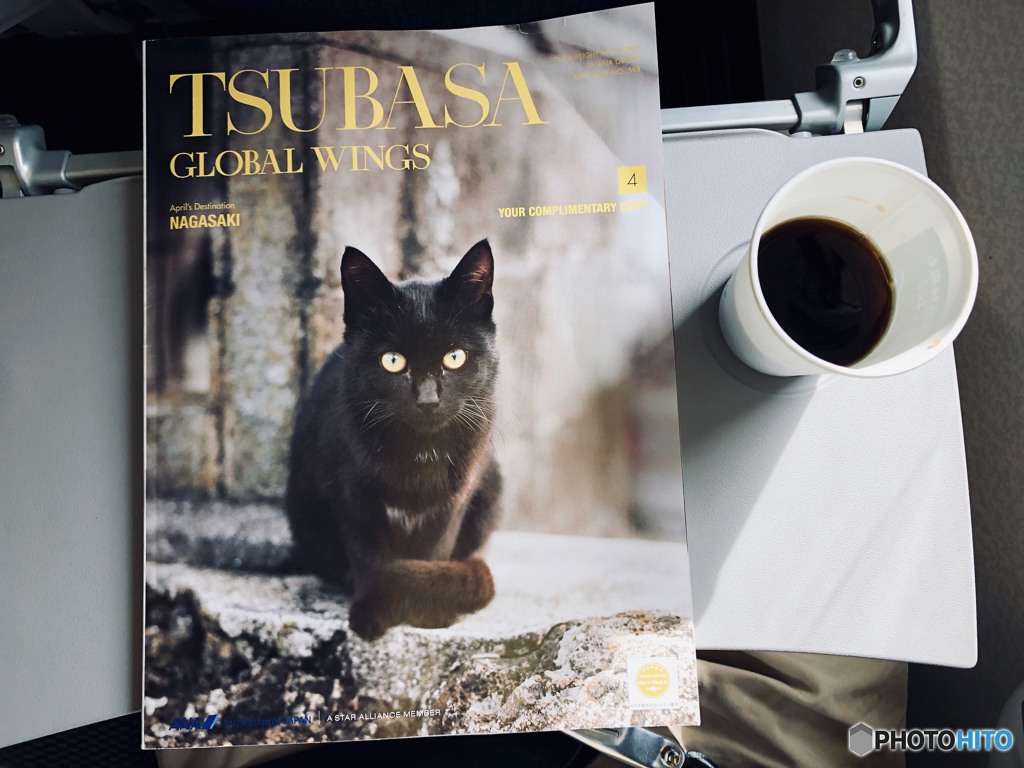 翼の王国-TSUBASA GLOBAL WINGS-