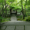 常寂光寺、令和四年 初夏