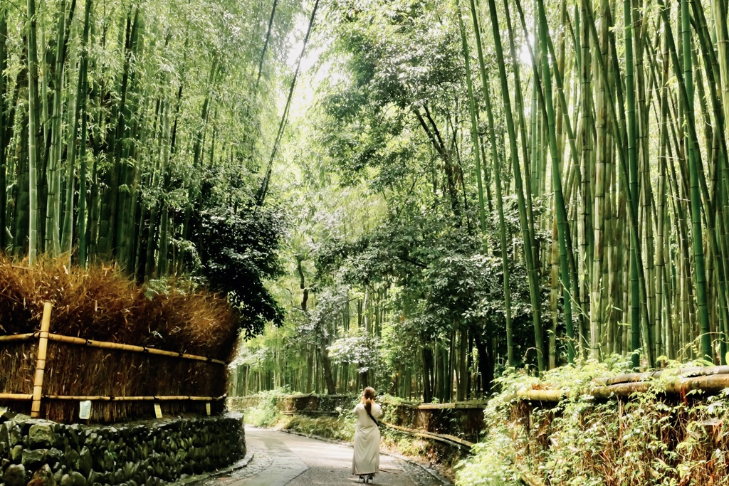 Rambling bamboo Gloves, Kyoto