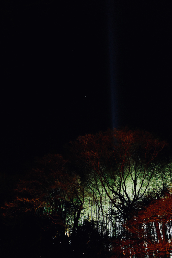 Lightup the Night, Shorei-in, Kyoto