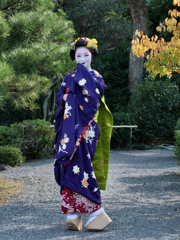 Kyoto Pop Icon : Maiko Hidekano