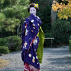 Kyoto Pop Icon : Maiko Hidekano