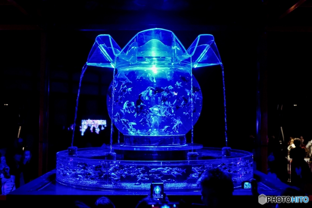 Blue Light Fishbowl : Nijo-jo Castle