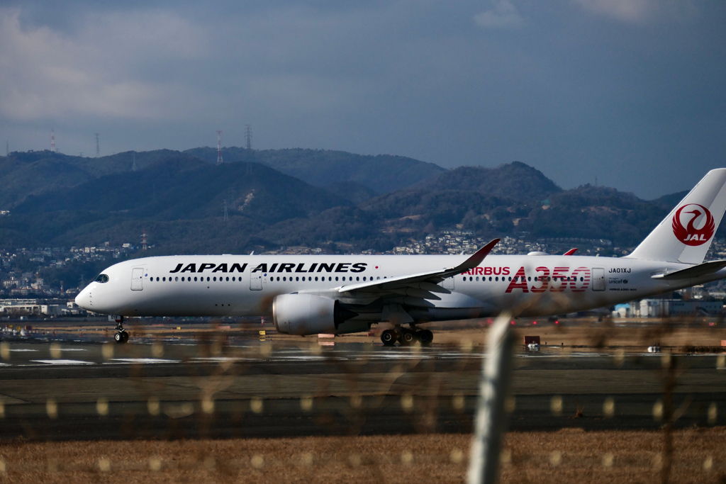 Ready to Fly JAL2087