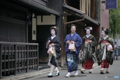 Geiko, Maiko walking around Gion, Kyoto