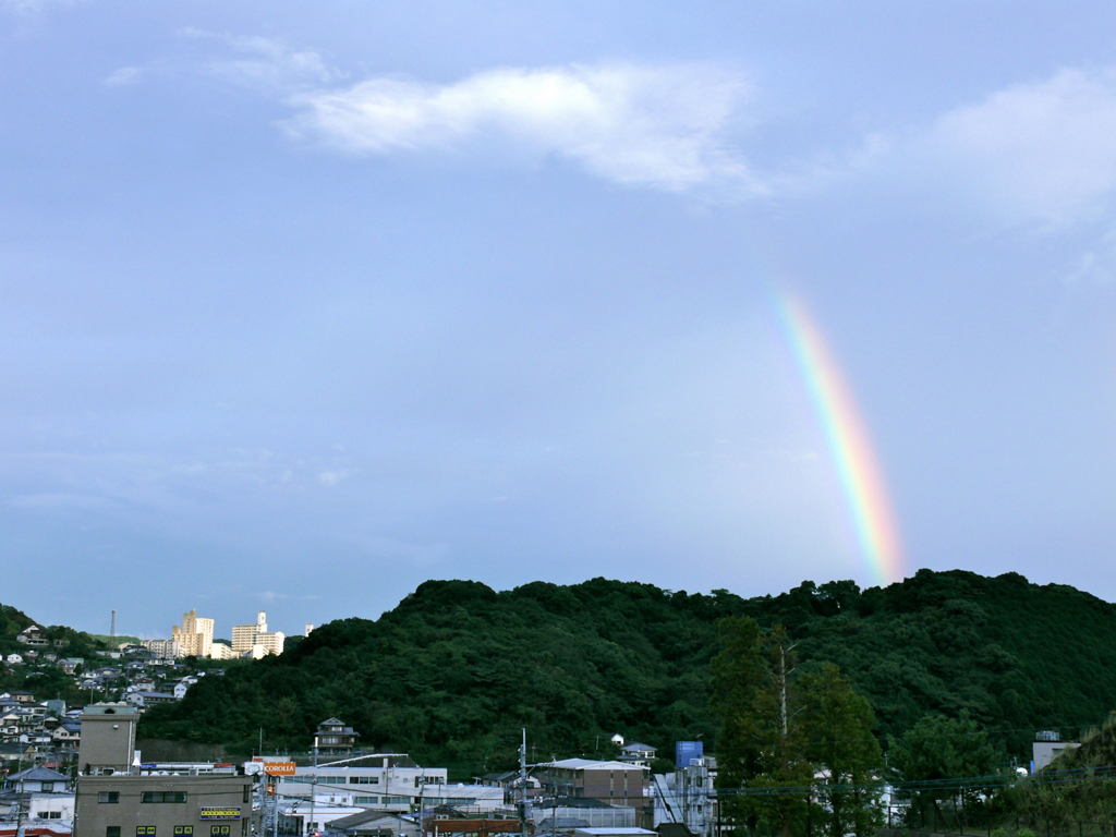 先日の虹