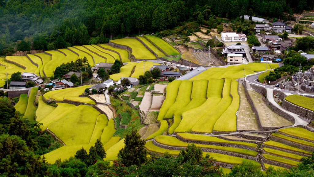 清水棚田