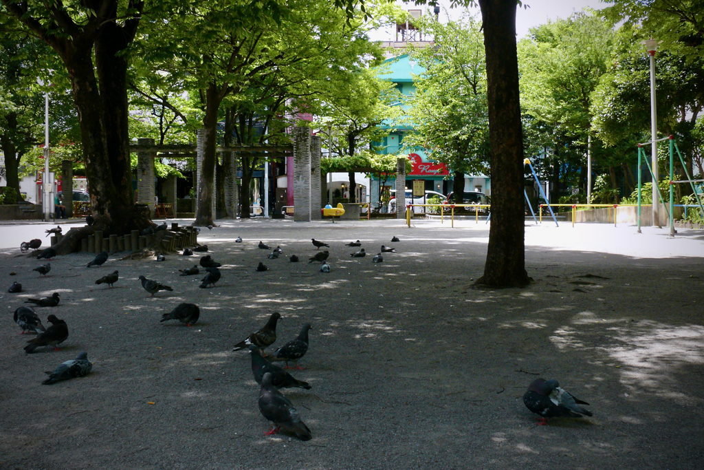 A day in the Park  : 向こうはパラダイス