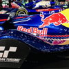Red Bulls