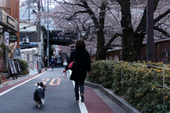 Meguro riverside, tokyo 2022