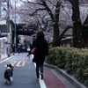 Meguro riverside, tokyo 2022