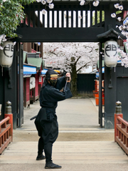 Pose, Nijya Uzumasa Kyoto