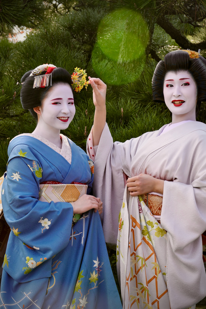 Kyoto Pop Icon : Maiko & Geiko