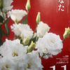 11月ですね