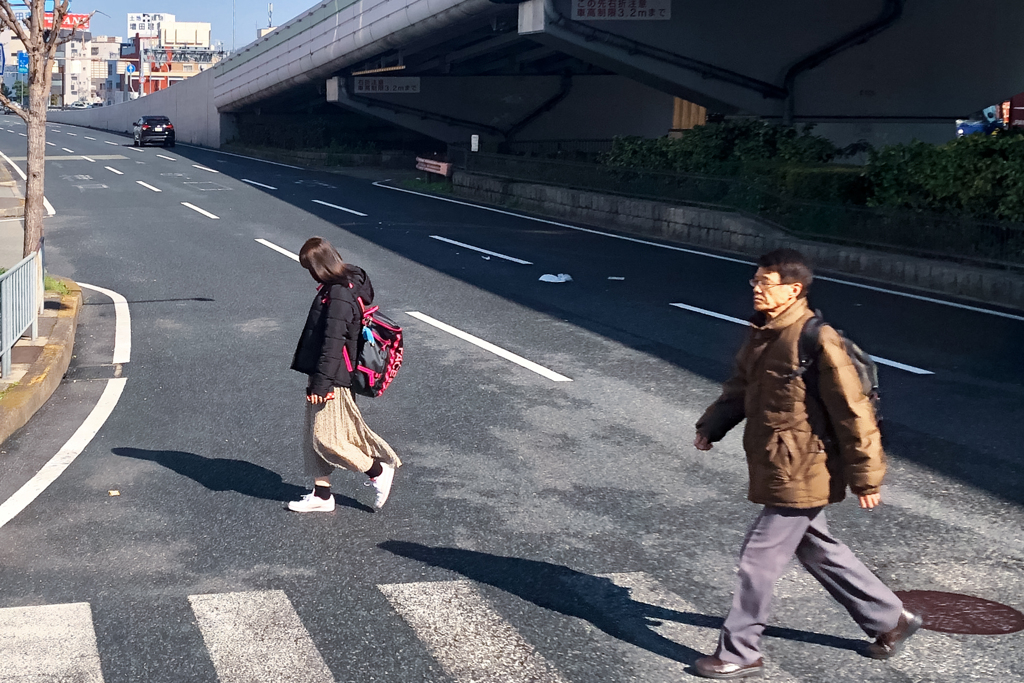 Osaka walkers 2020