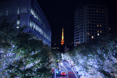 View from Keyakizaka