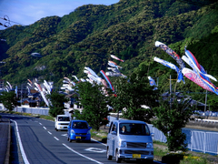 Koi nobori with car