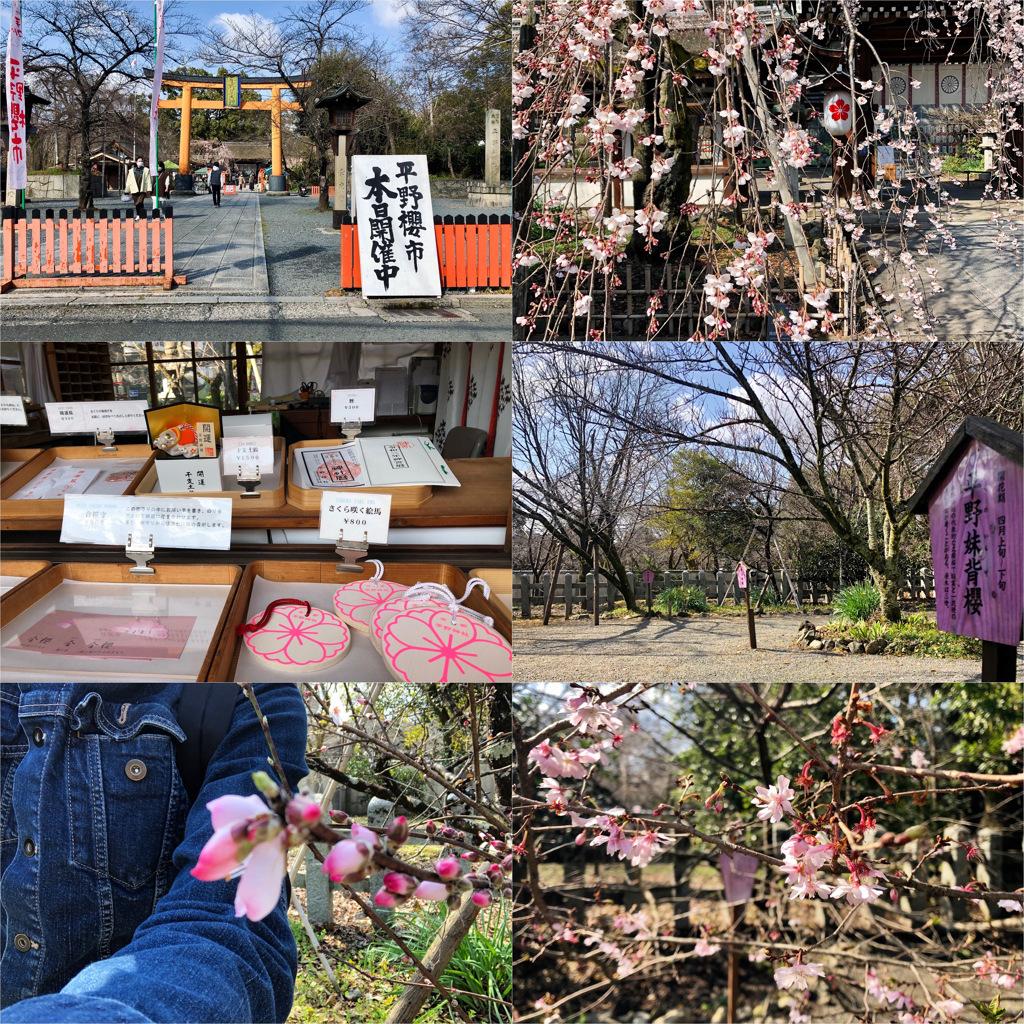 real cool world, kyoto