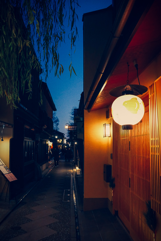 Pontocho evening