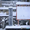 平成28年豪雪・矢上神社