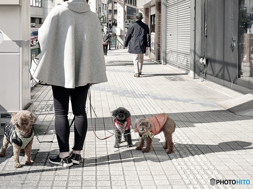 犬のきもち