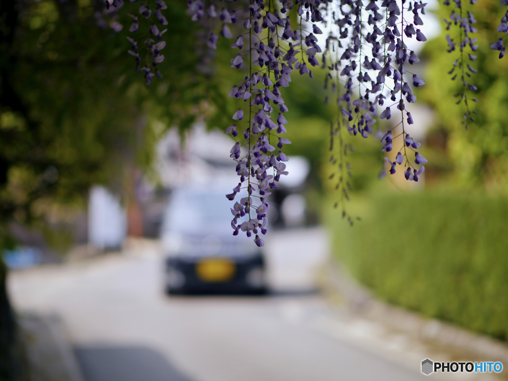 Koga Fujitana : Nagasaki Historic Road