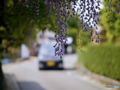 Koga Fujitana : Nagasaki Historic Road