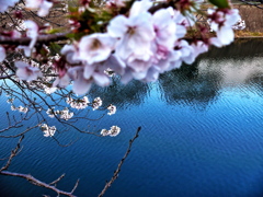 Snapseed de SAKURA : Snapseed tuneup #1