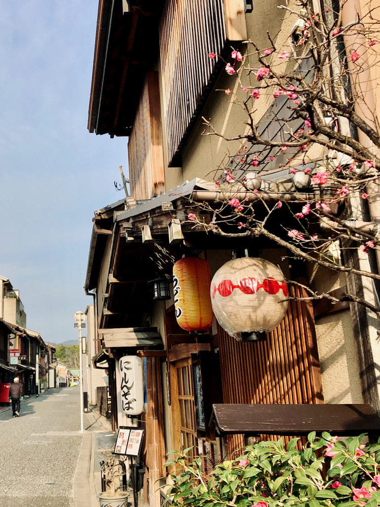 街角スナップ：京都・上七軒通り