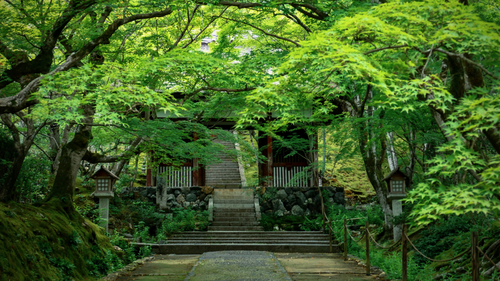 常寂光寺、令和四年 初夏 II