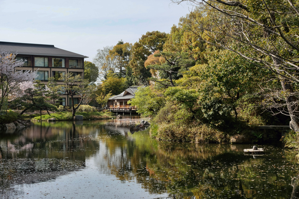 積翠園「楓樹」