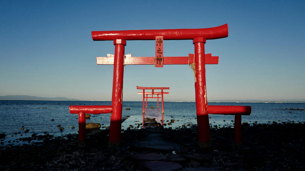 in the Ariake Sea