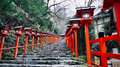 Stay Home With Leica 令和二年弥生 貴船神社