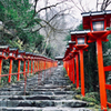 Stay Home With Leica 令和二年弥生 貴船神社