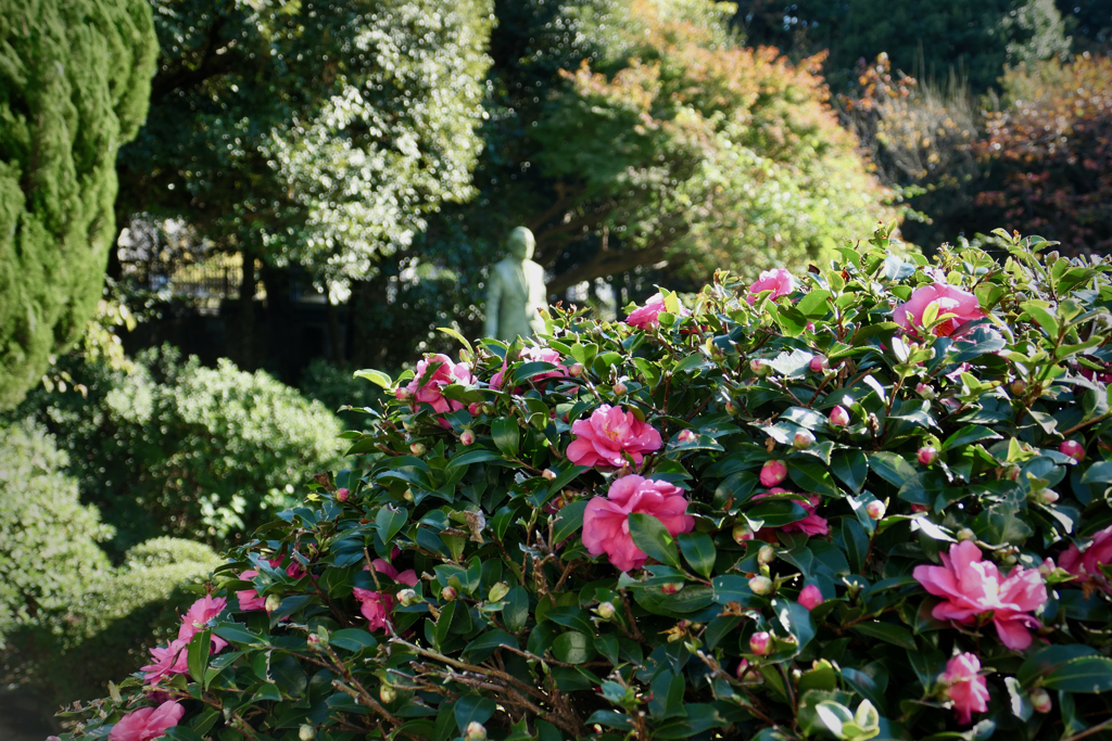 Garden at Otowa, tokyo 2021