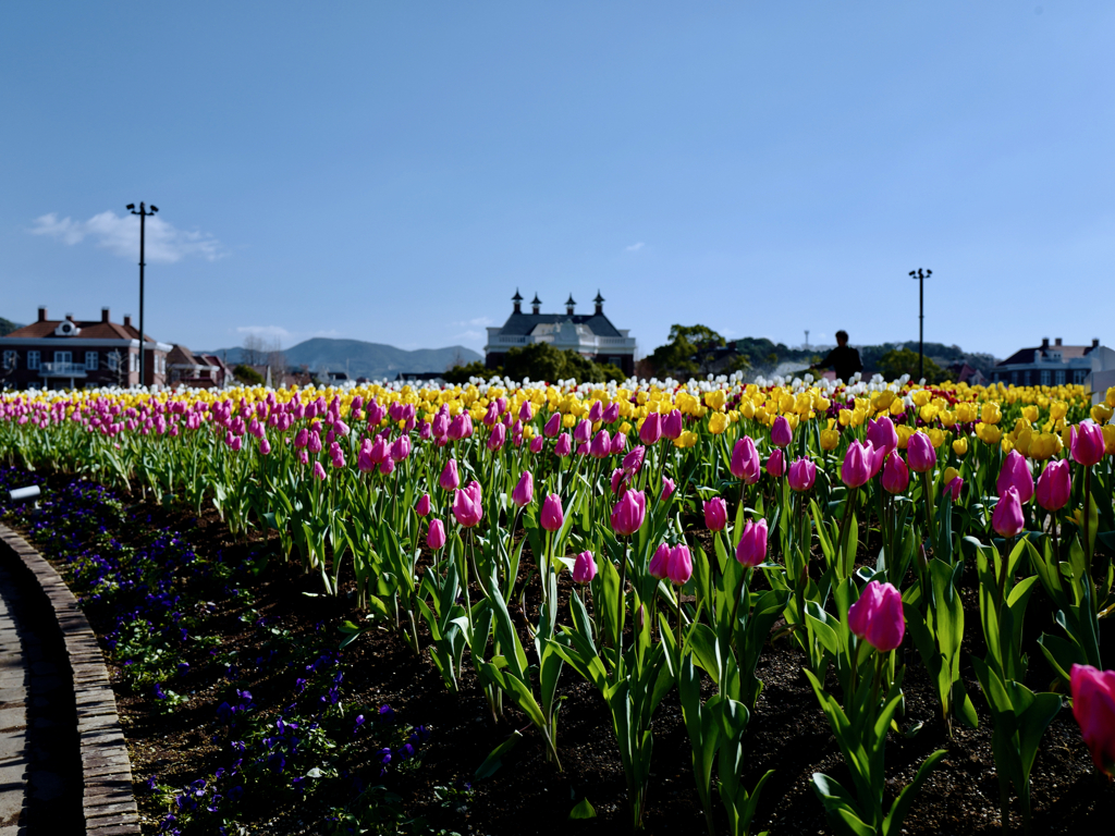 Spring Is Nearly Here, HUIS TEN BOSCH