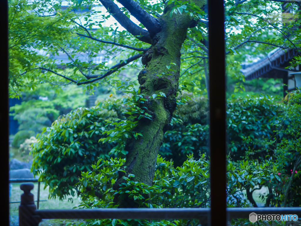 View from window