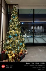 そろそろ今年を振り返る