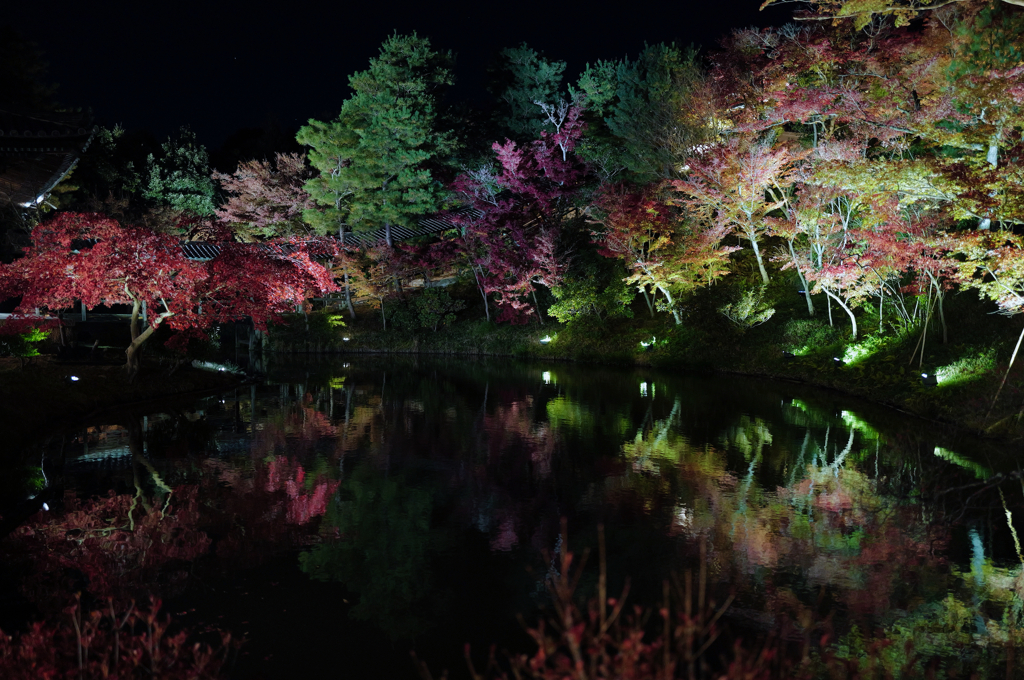 November Night kyoto  Kodaiji