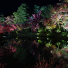 November Night kyoto  Kodaiji